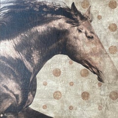 Large Horse Portrait Hyperrealistic Beige Taupe Brown Polka Dots Texture 48"x48"