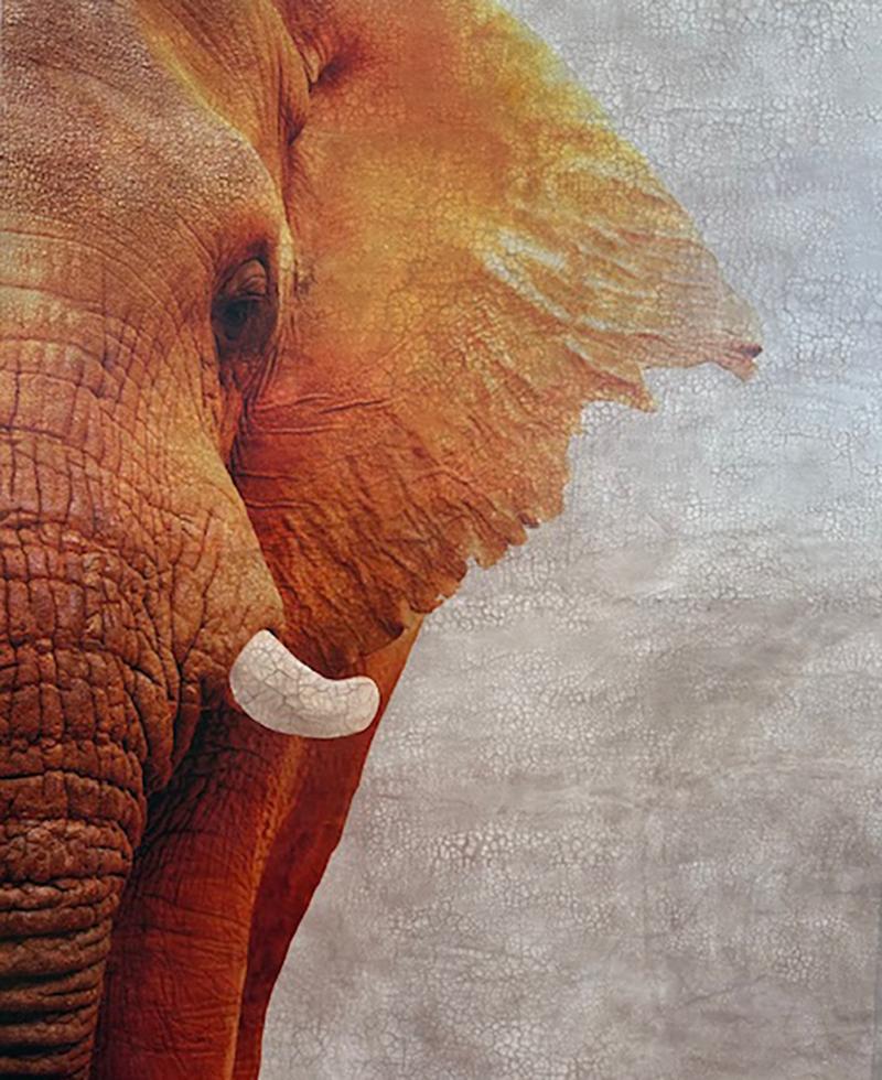 Socialmente intelligente (dipinto originale a tecnica mista su grande scala con elefante) - Painting Impressionismo astratto di Svetlana Shalygina