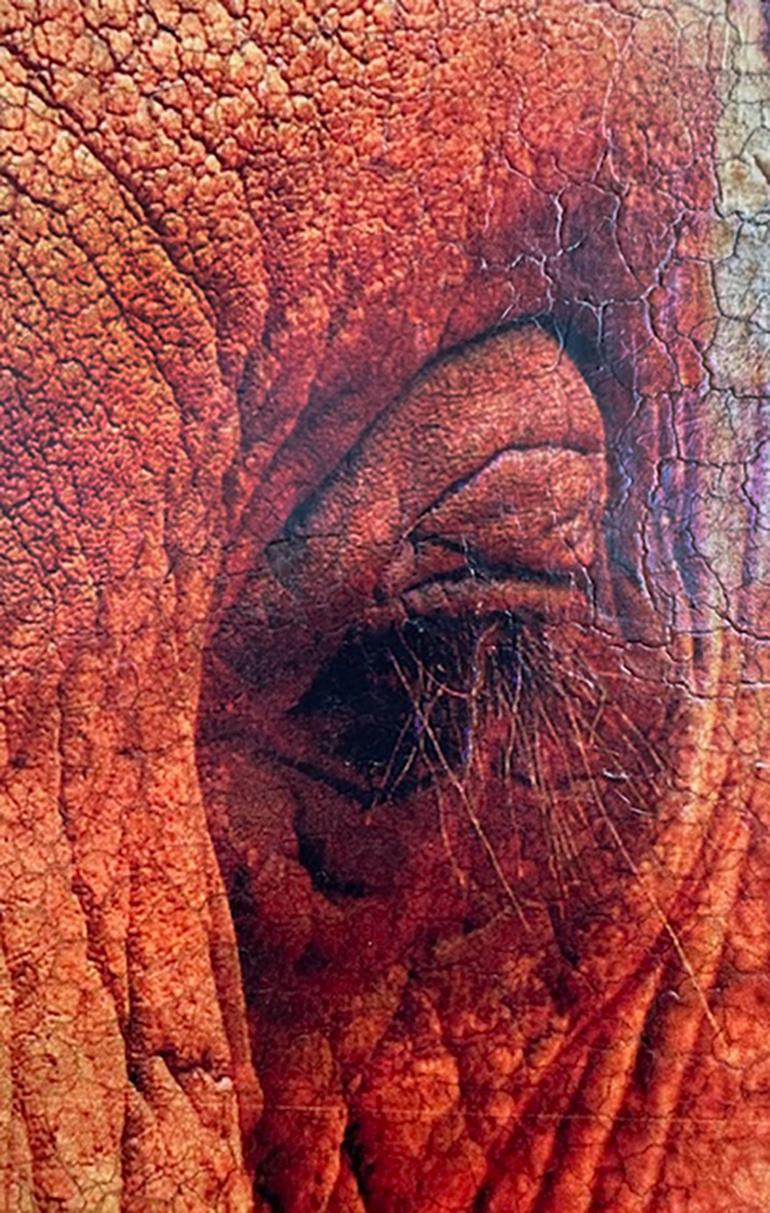 Socialmente intelligente (dipinto originale a tecnica mista su grande scala con elefante) - Animal Painting Beige di Svetlana Shalygina