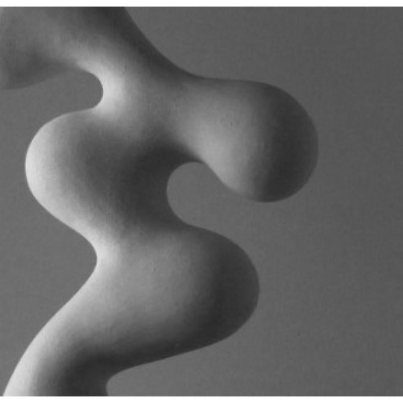 Fired Swagger Sculpture by Elnaz Rafati
