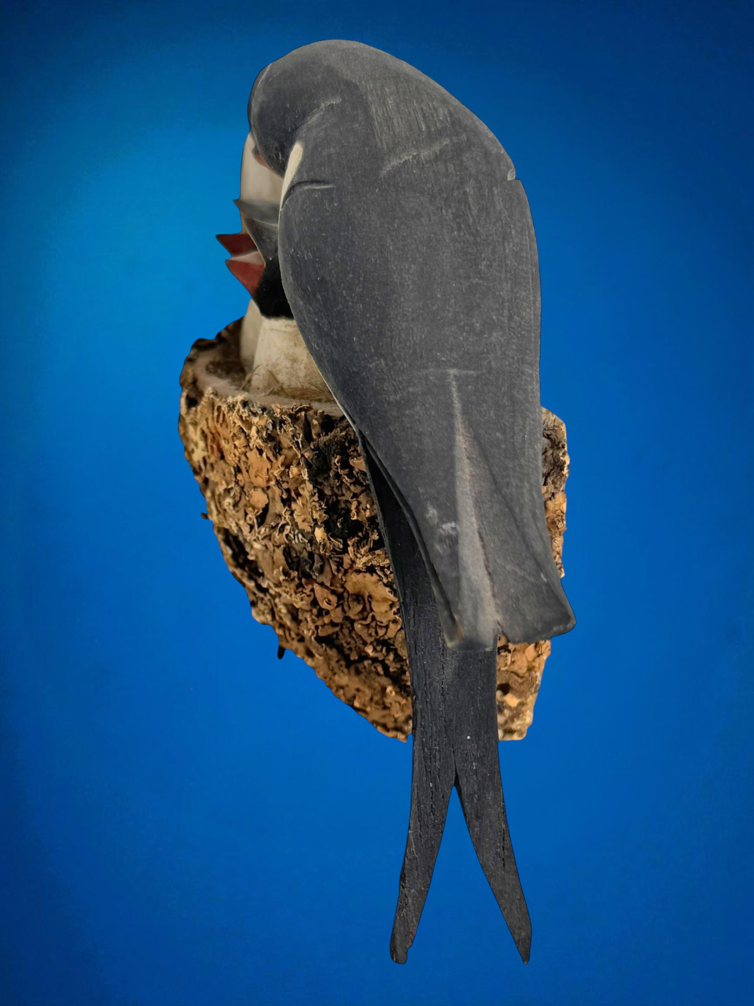 Swallow Nest Viechtauer Hand Carved Wood Bird Black Forest Folk Art Austria 1910 For Sale 7