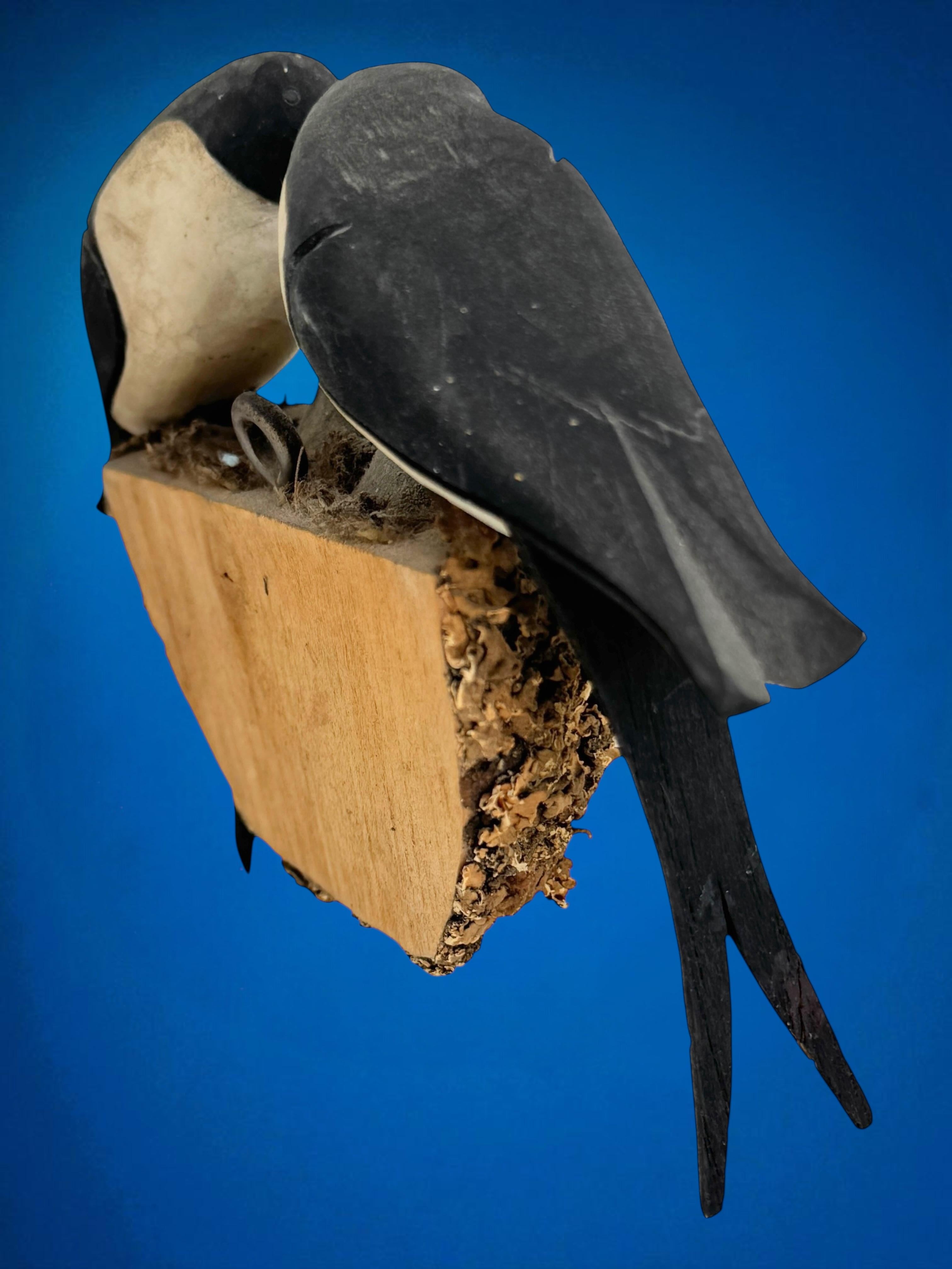 Swallow Nest Viechtauer Hand Carved Wood Bird Black Forest Folk Art Austria 1910 For Sale 13