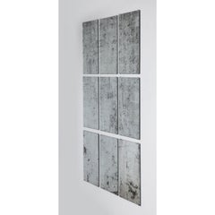"Swamp, " Drawing on Silvered Glass by Anne Peabody