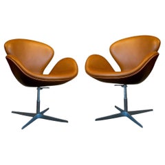 Dining Room Chairs