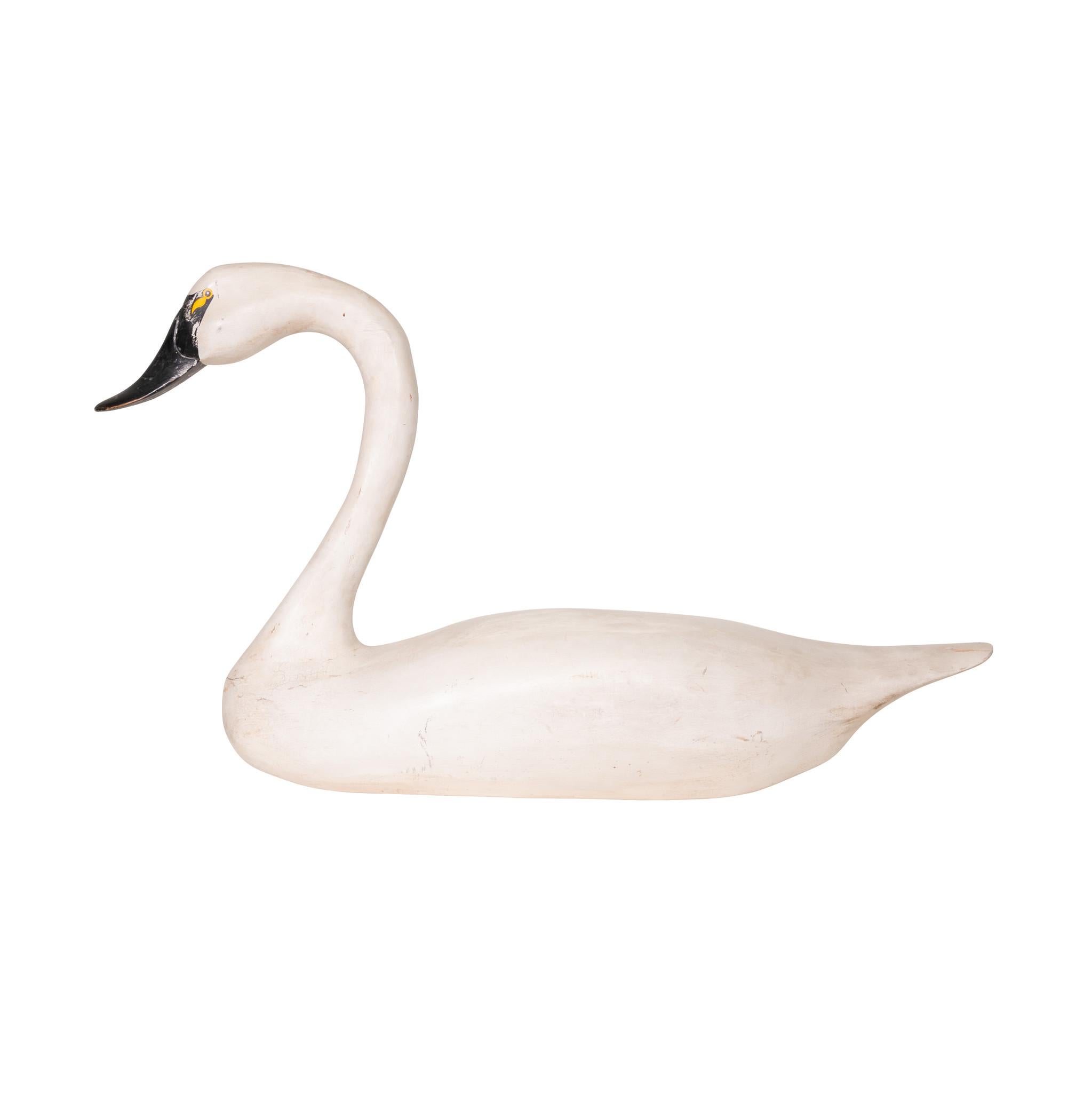 harry swan
