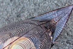 Swan Murano Glass Licio Zanetti Murano Glass Brass Red