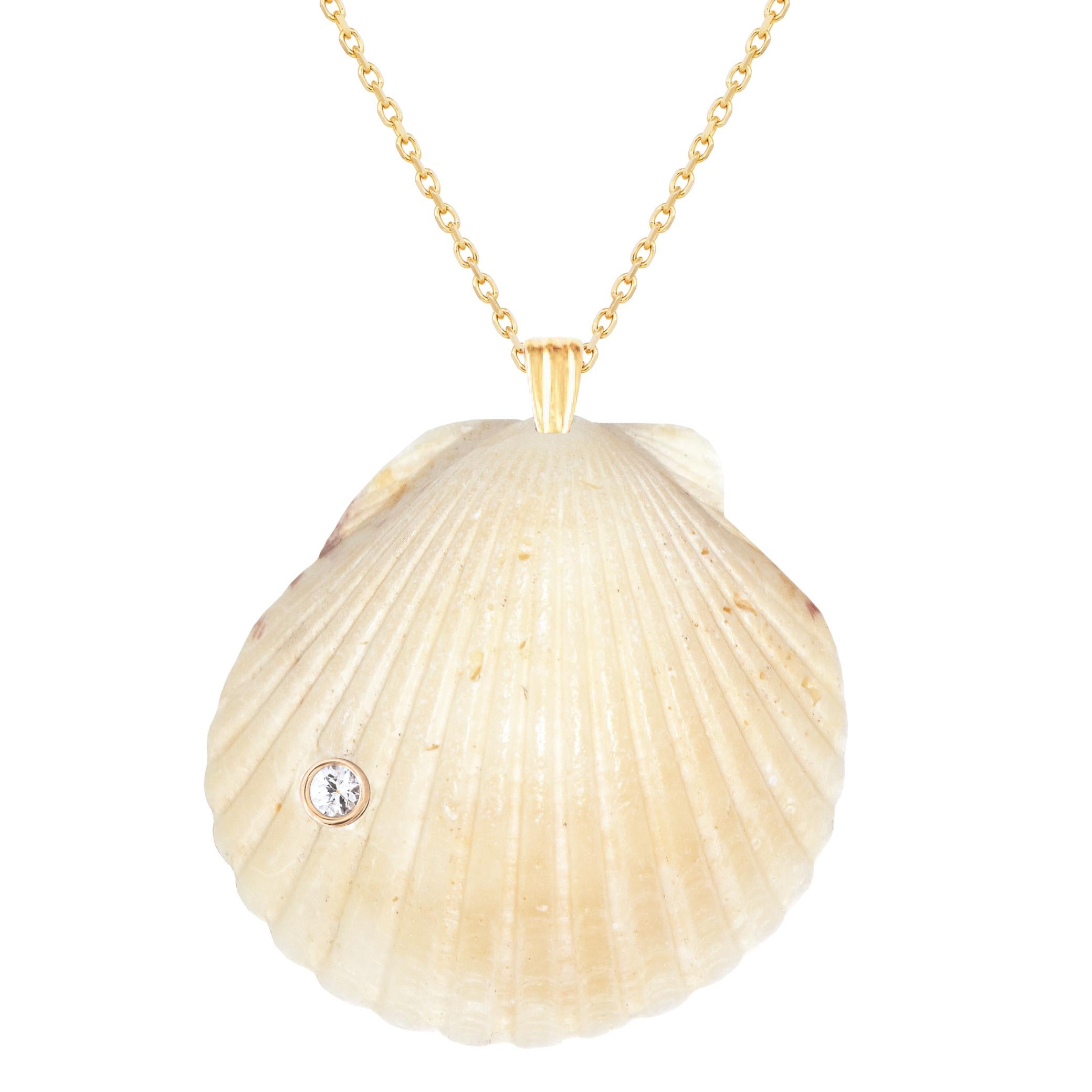 Natural shell pendant with solid 14k gold findings and natural white sapphire gemstone. Wear this pendant alone or layer it with other gold chains for a beautiful layered effect.  

Order includes one shell pendant, exactly as depicted in primary