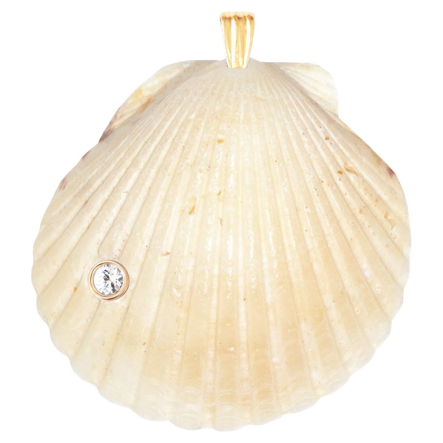 Pendentif en or 14k avec saphir blanc naturel et coquillage naturel Whiting