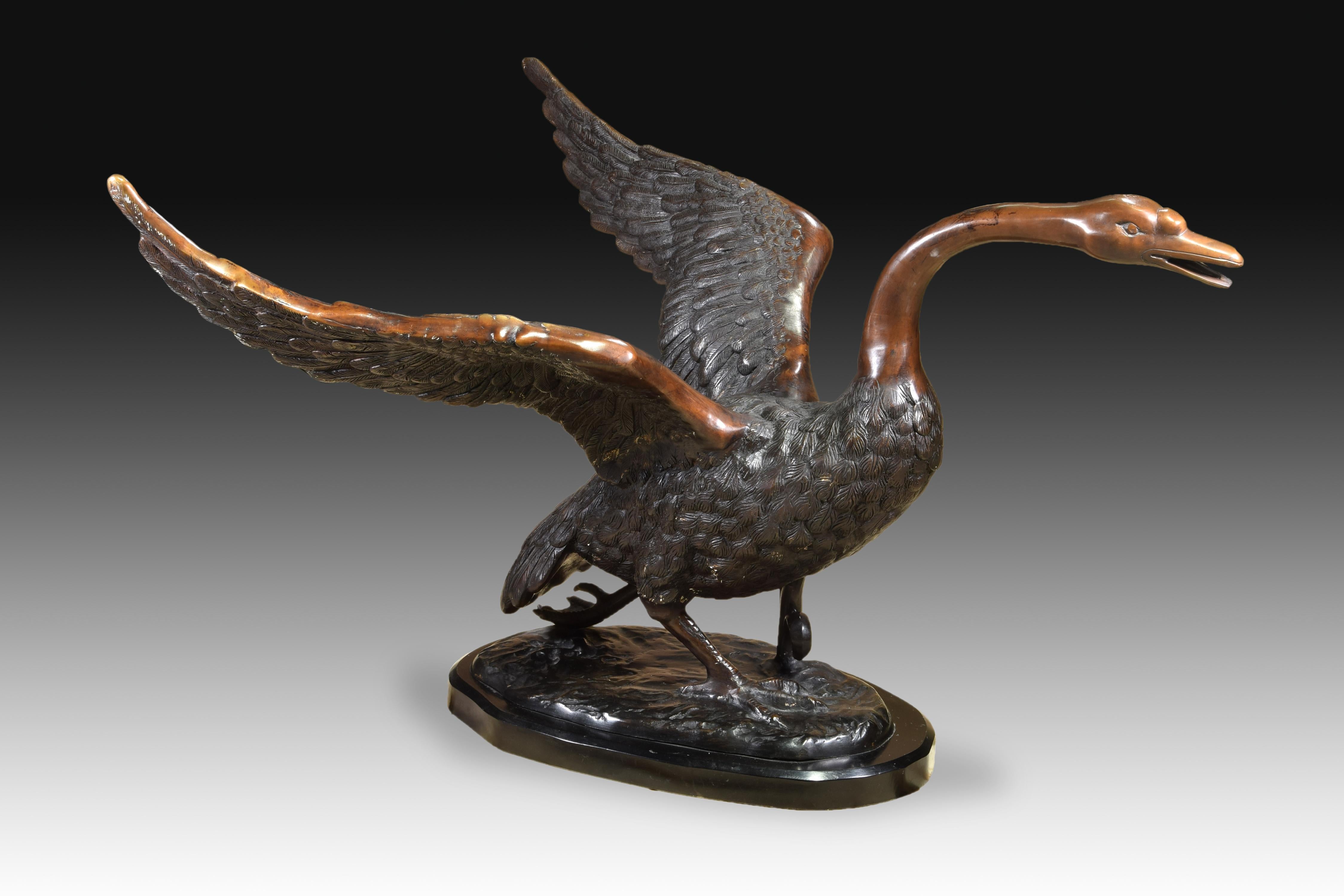 Cisne, table base for glass. Marble and bronze, 20th century.
 Table base in the shape of a swan taking off from a surface of water, made of bronze and placed on an oval base in dark marble. The figure is more reminiscent in some details of