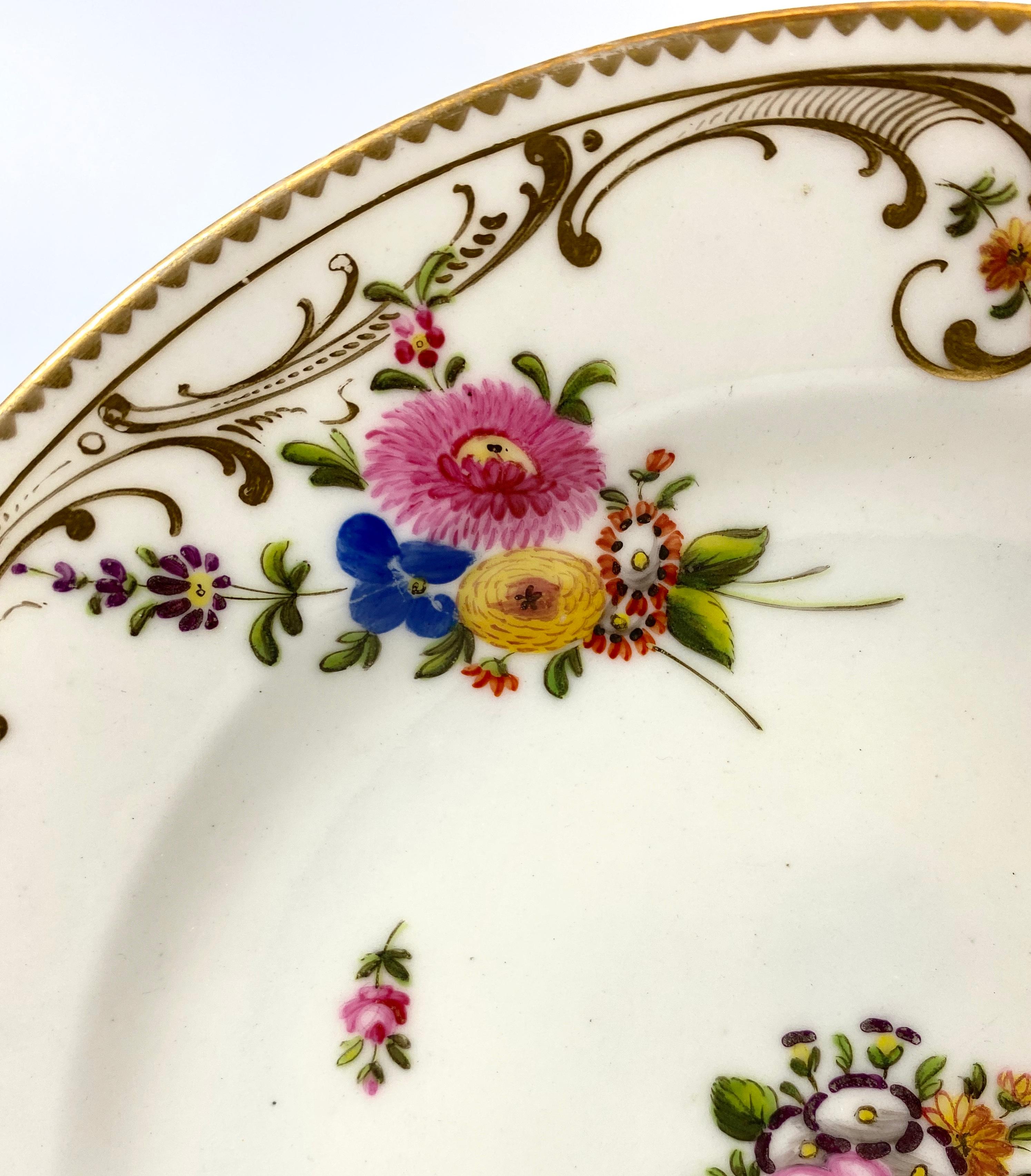 Georgian Swansea Porcelain Plate, Flowers and Insects, circa 1815