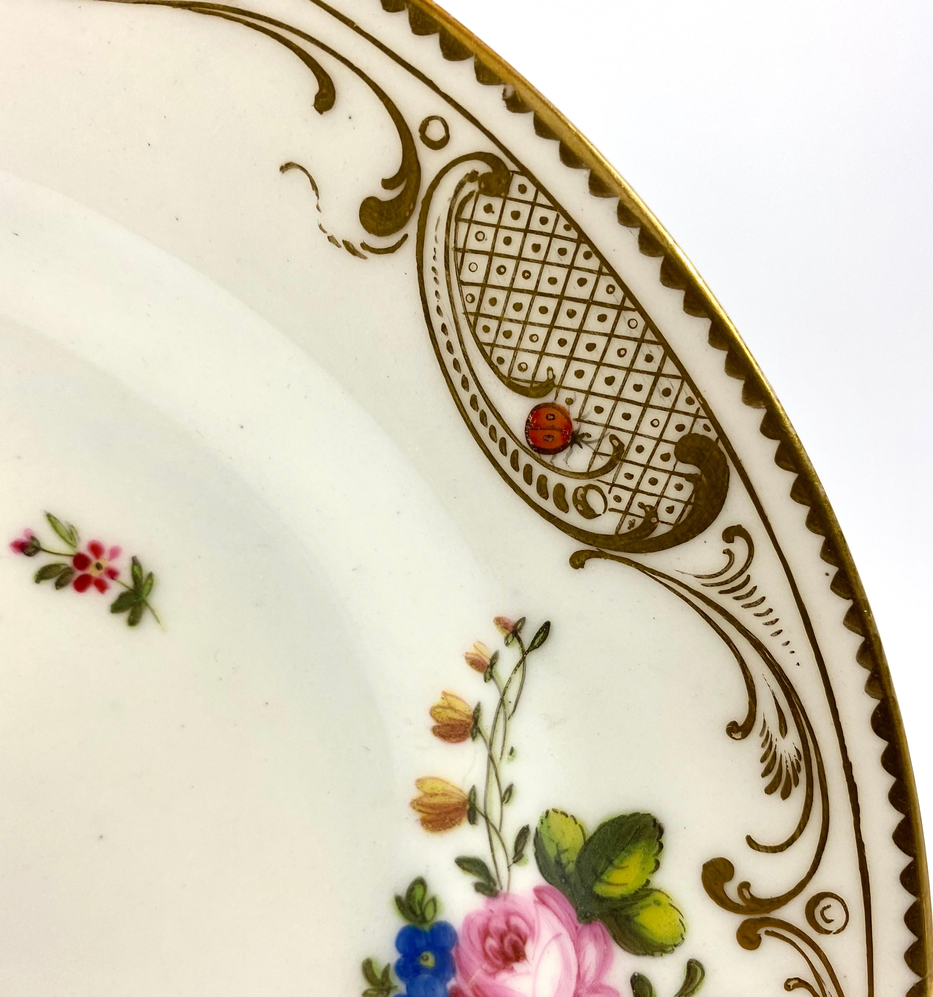 Welsh Swansea Porcelain Plate, Flowers and Insects, circa 1815