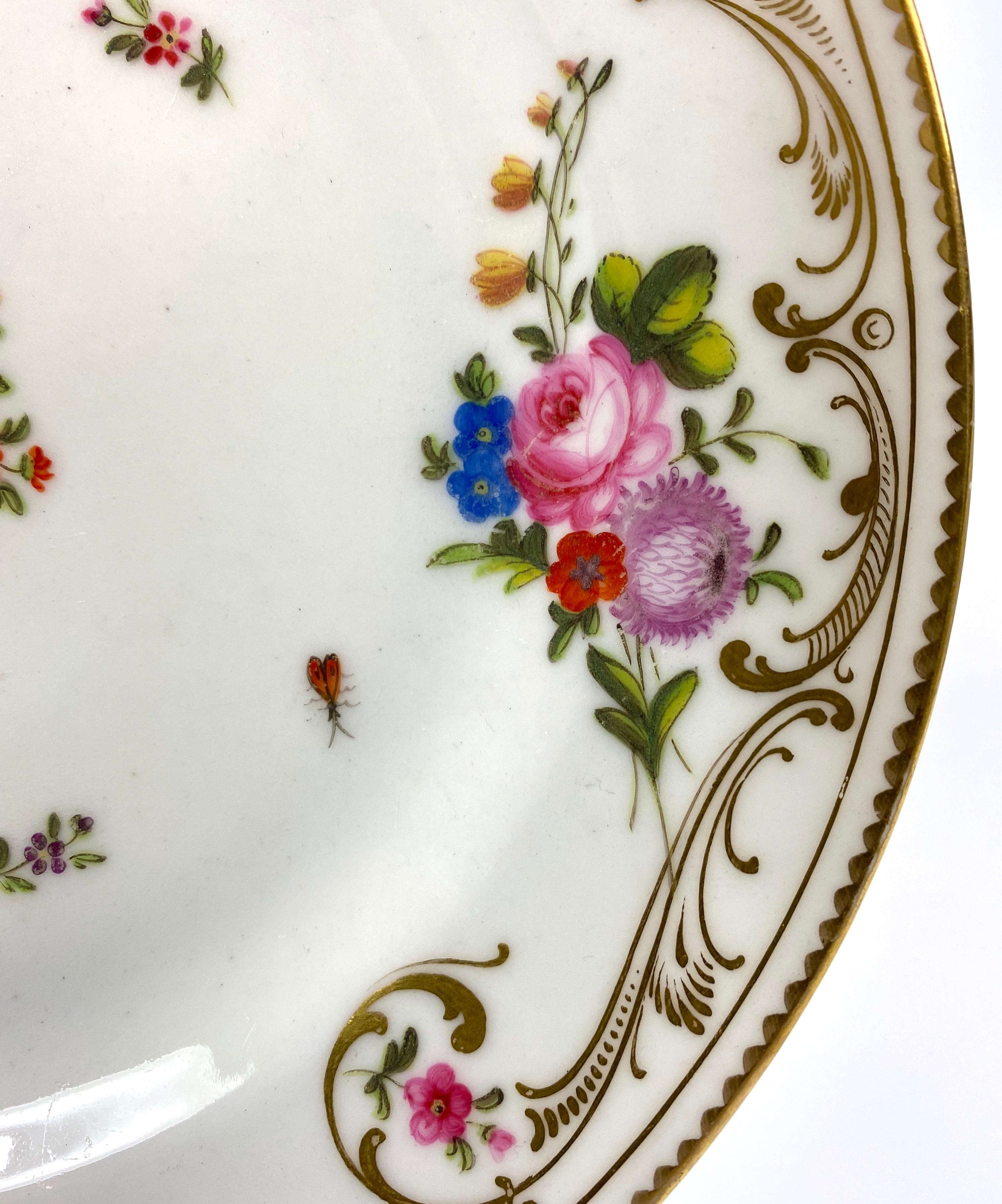 Fired Swansea Porcelain Plate, Flowers and Insects, circa 1815