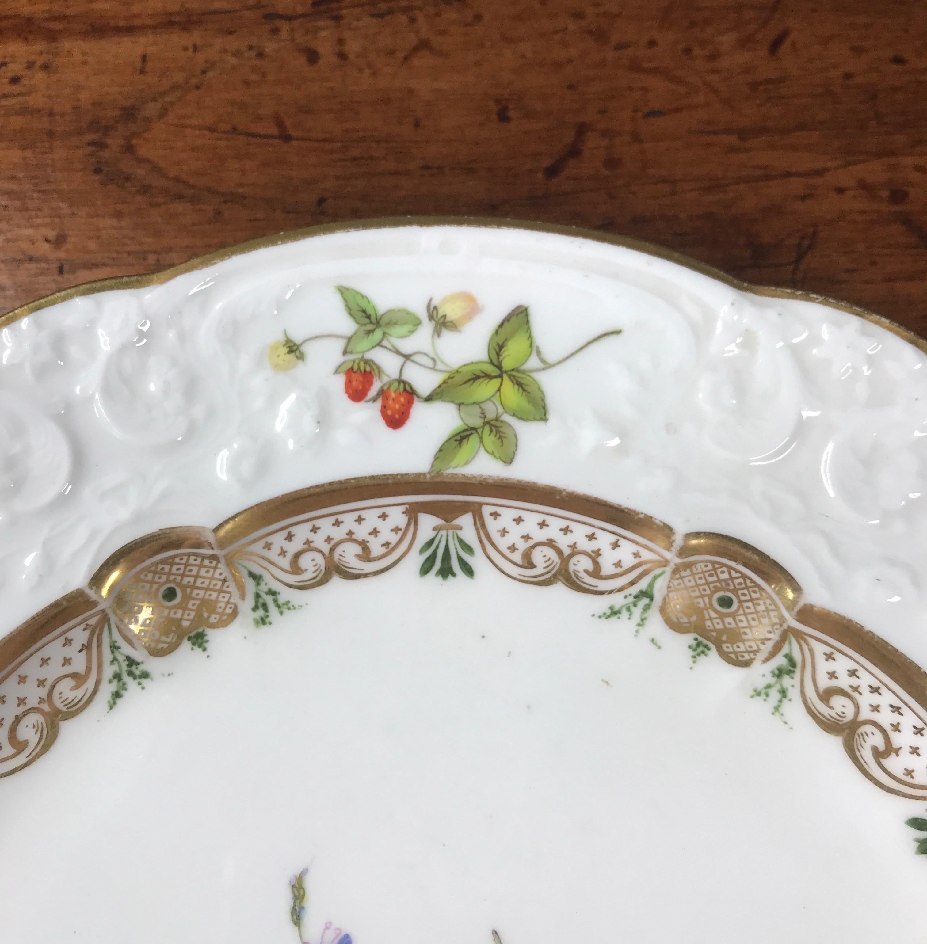 Hand-Painted Swansea Porcelain Plate with Flower Specimens, C. 1820 For Sale