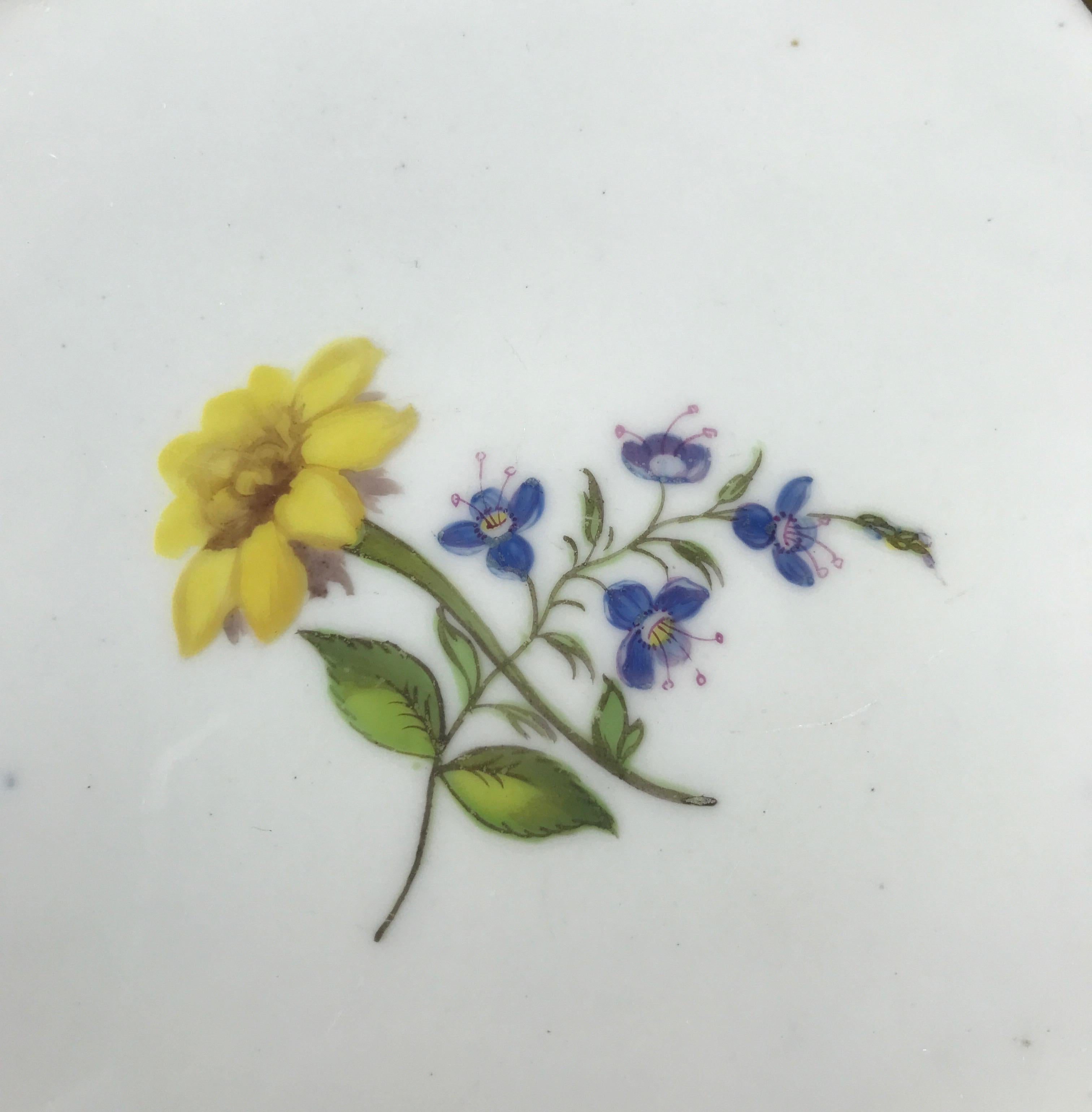 Swansea Porcelain Plate with Flower Specimens, C. 1820 For Sale 1