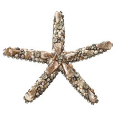 Used Swarovski Crystal Encrusted Starfish by Douglas Cloutier