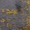 Gray Lemon 3132-5841-1031