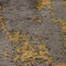 Yellow Gold Gray 3117-1521-6941
