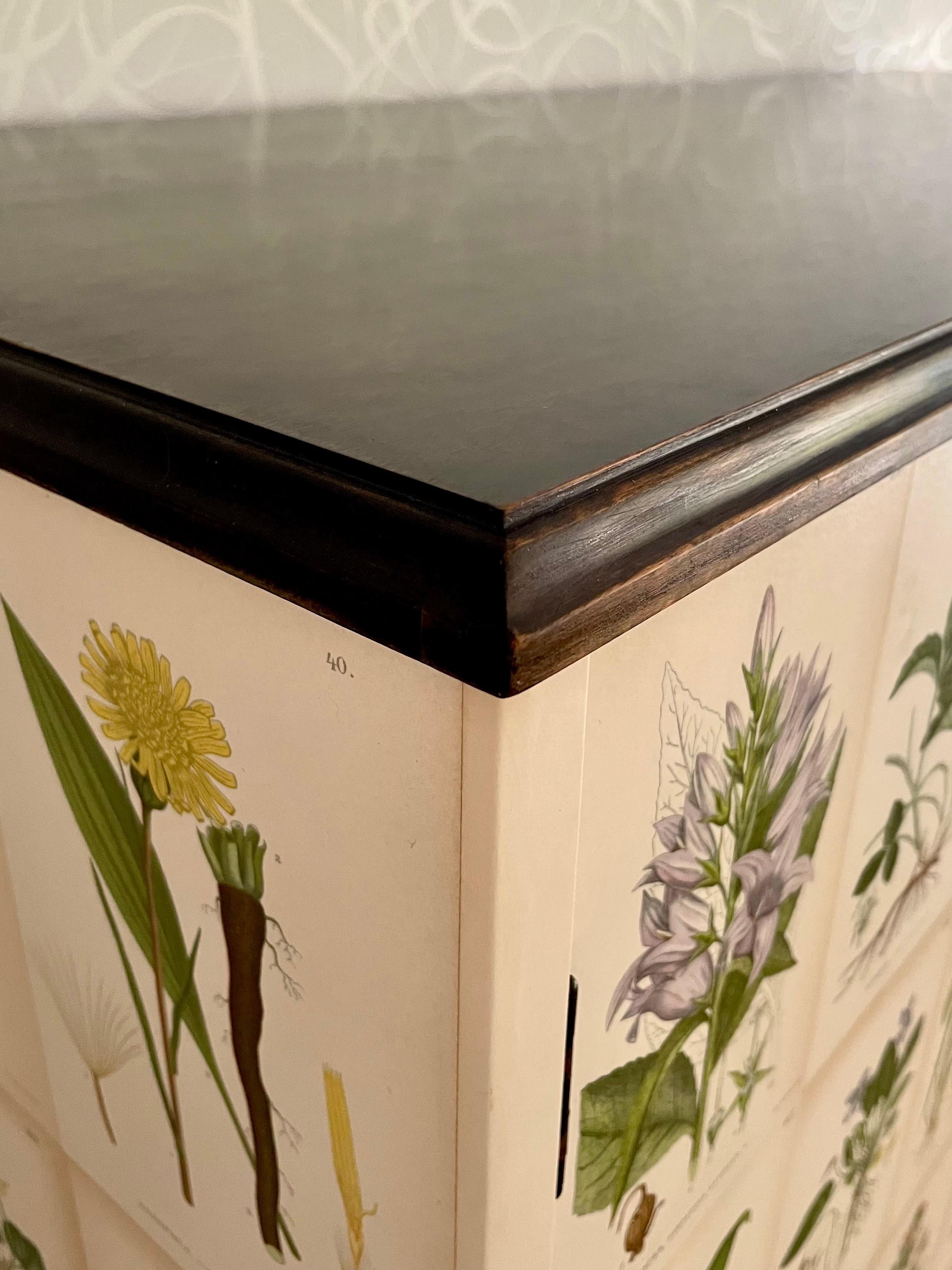 Mid-20th Century Swedish 1930s Botanical Cabinet in Josef Frank's Style with Nordens Flora Decor