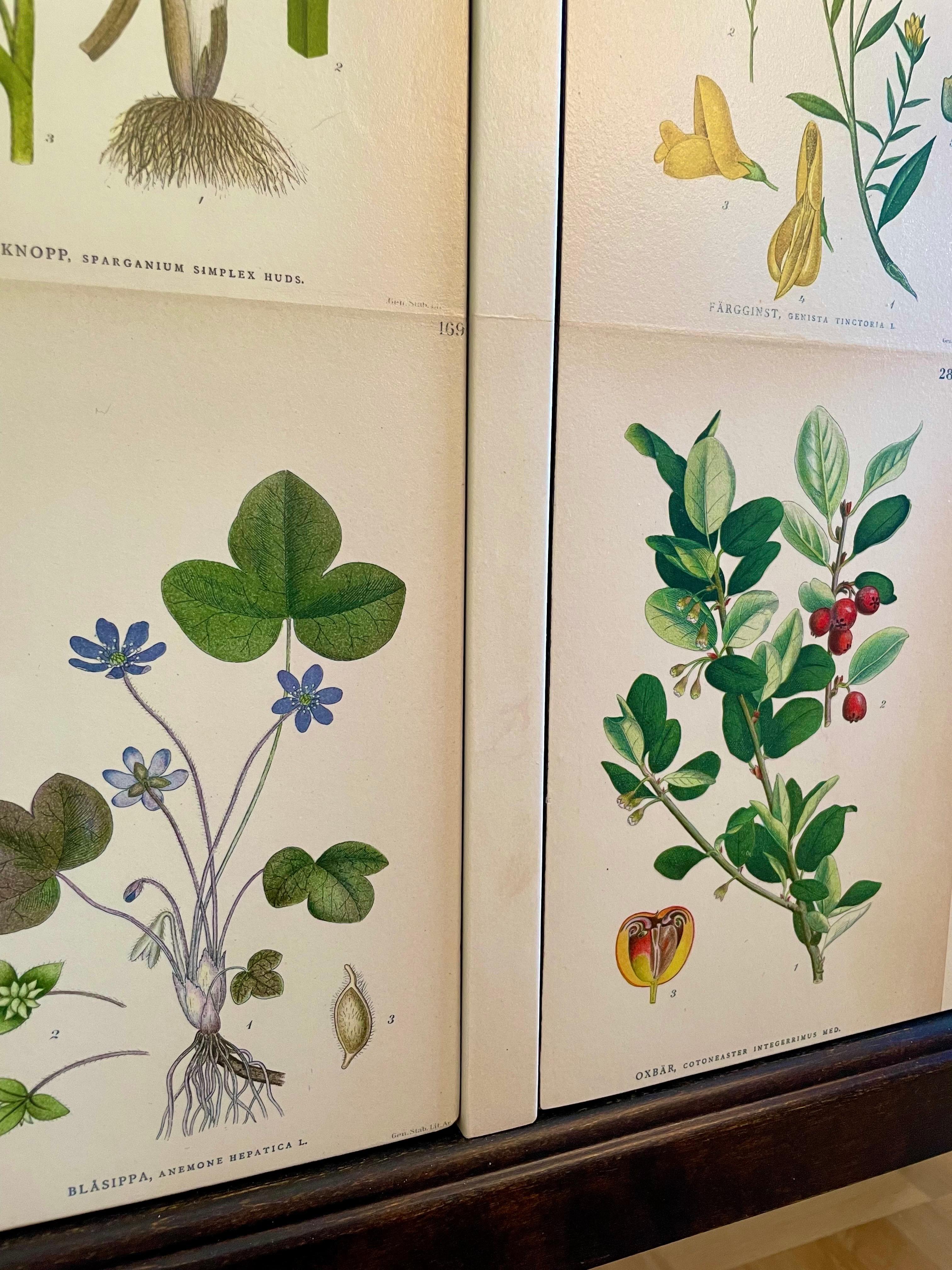 Swedish 1940s Cabinet in Style of the Swedish/Austrian Designer Josef Frank 2