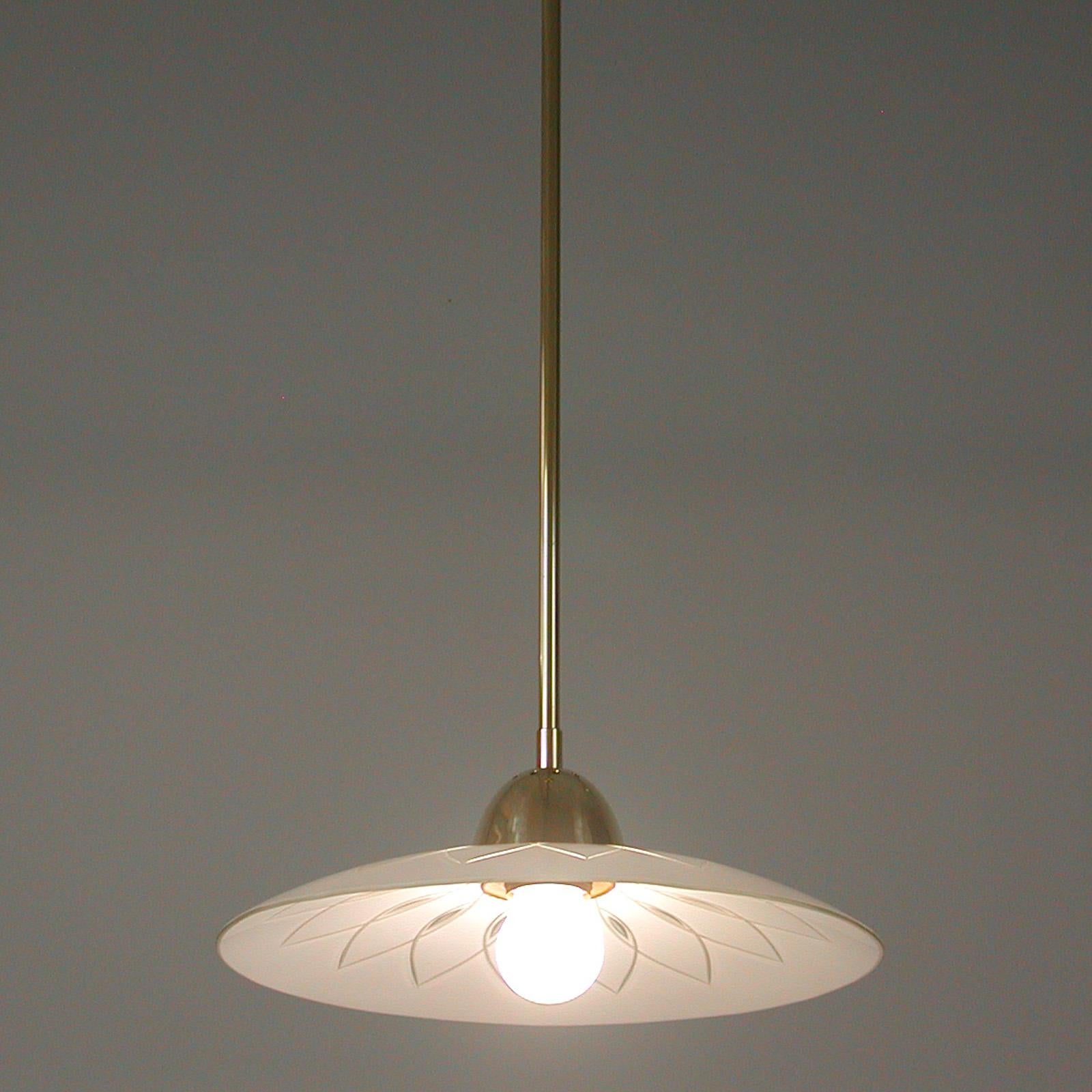 Swedish 1940s Satin Glass and Brass Botanical Pendant, 5 available For Sale 6