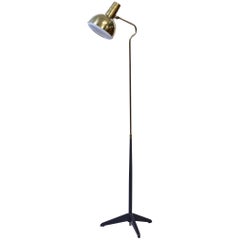Swedish 1950s Floor Lamp by ASEA