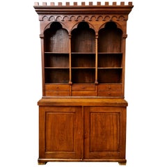 Swedish 19th Century Library Or Specimen Cabinet, Provenance To Lund, Sweden