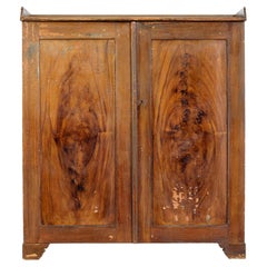 Swedish 19th century rustic painted pine cupboard