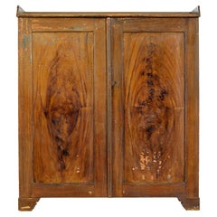 Swedish 19th century rustic painted pine cupboard