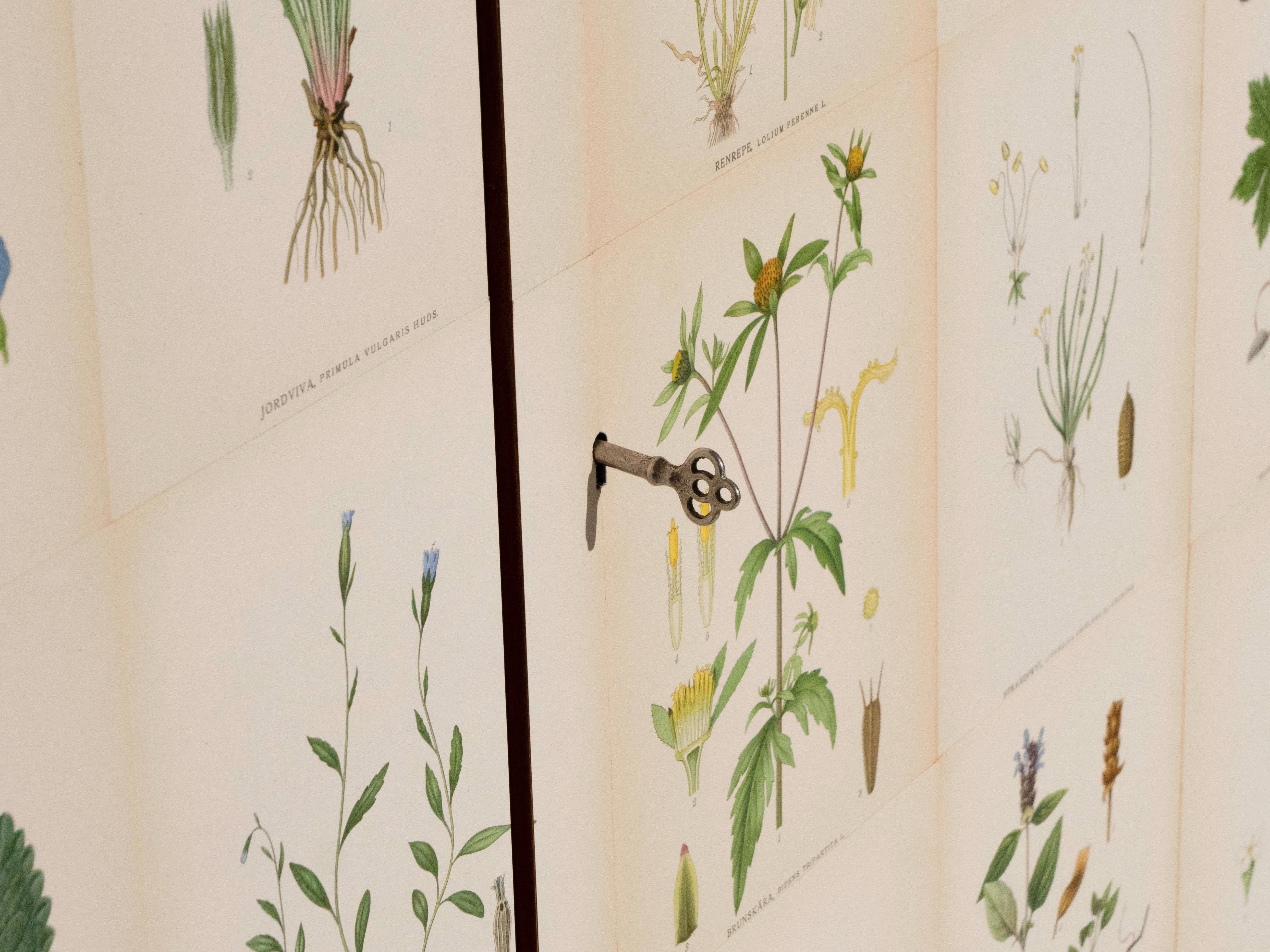 Swedish 3-Door Cabinet with Nordens Flora Illustrations, Josef Frank Style 6