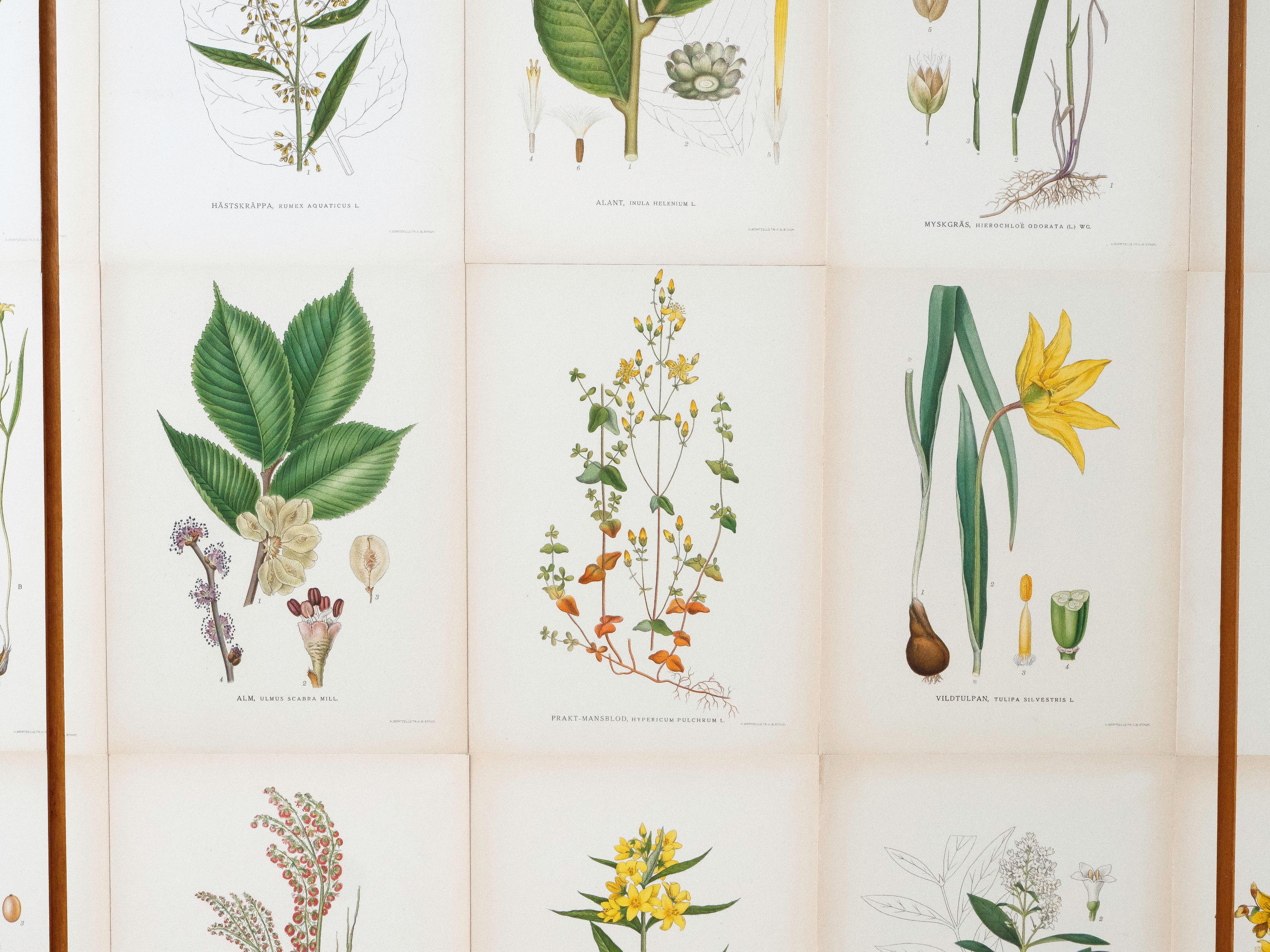 Armadio svedese a 3 ante con illustrazioni di Flora Nordens, stile Josef Frank in vendita 7