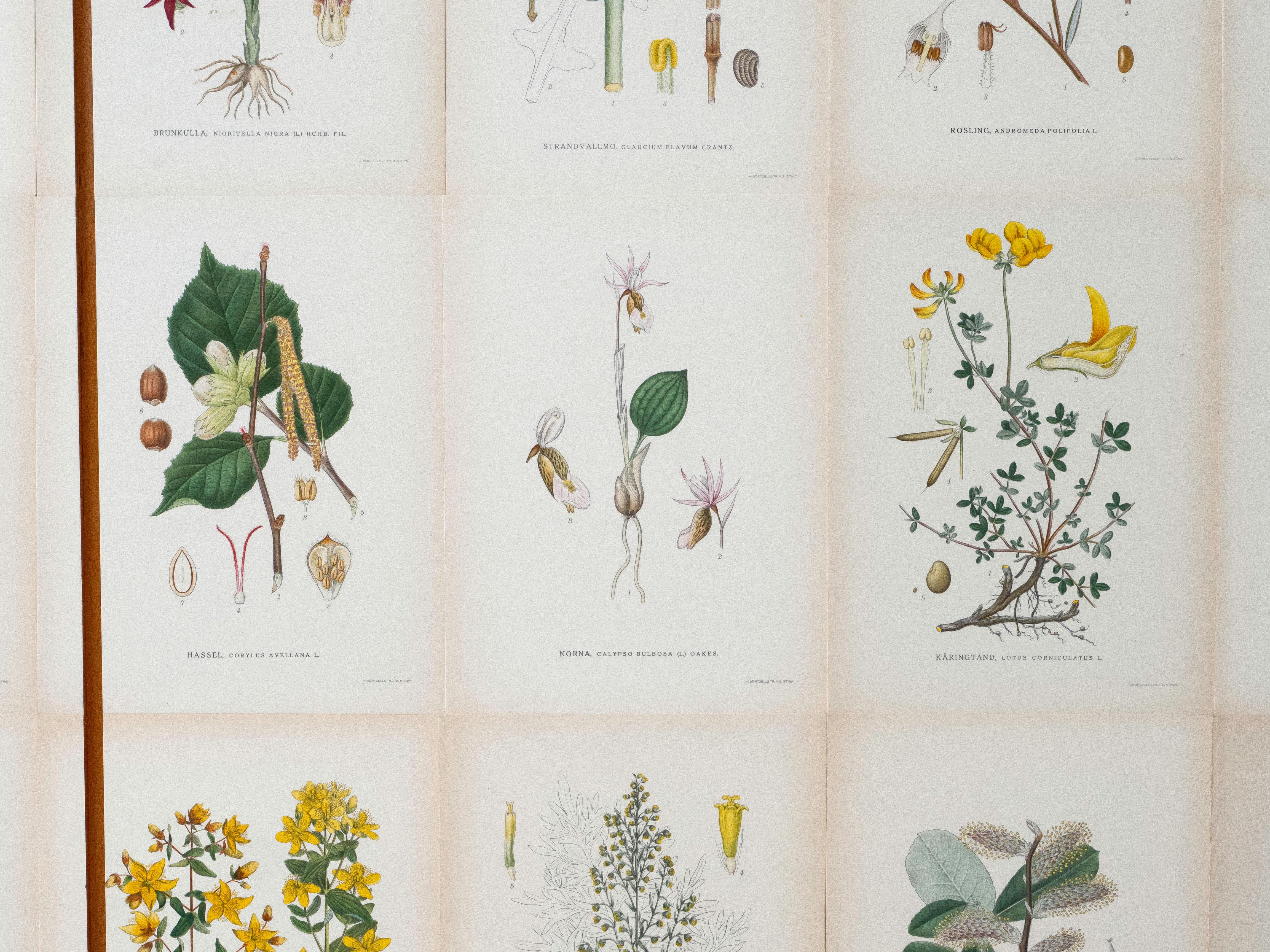 Armadio svedese a 3 ante con illustrazioni di Flora Nordens, stile Josef Frank in vendita 8