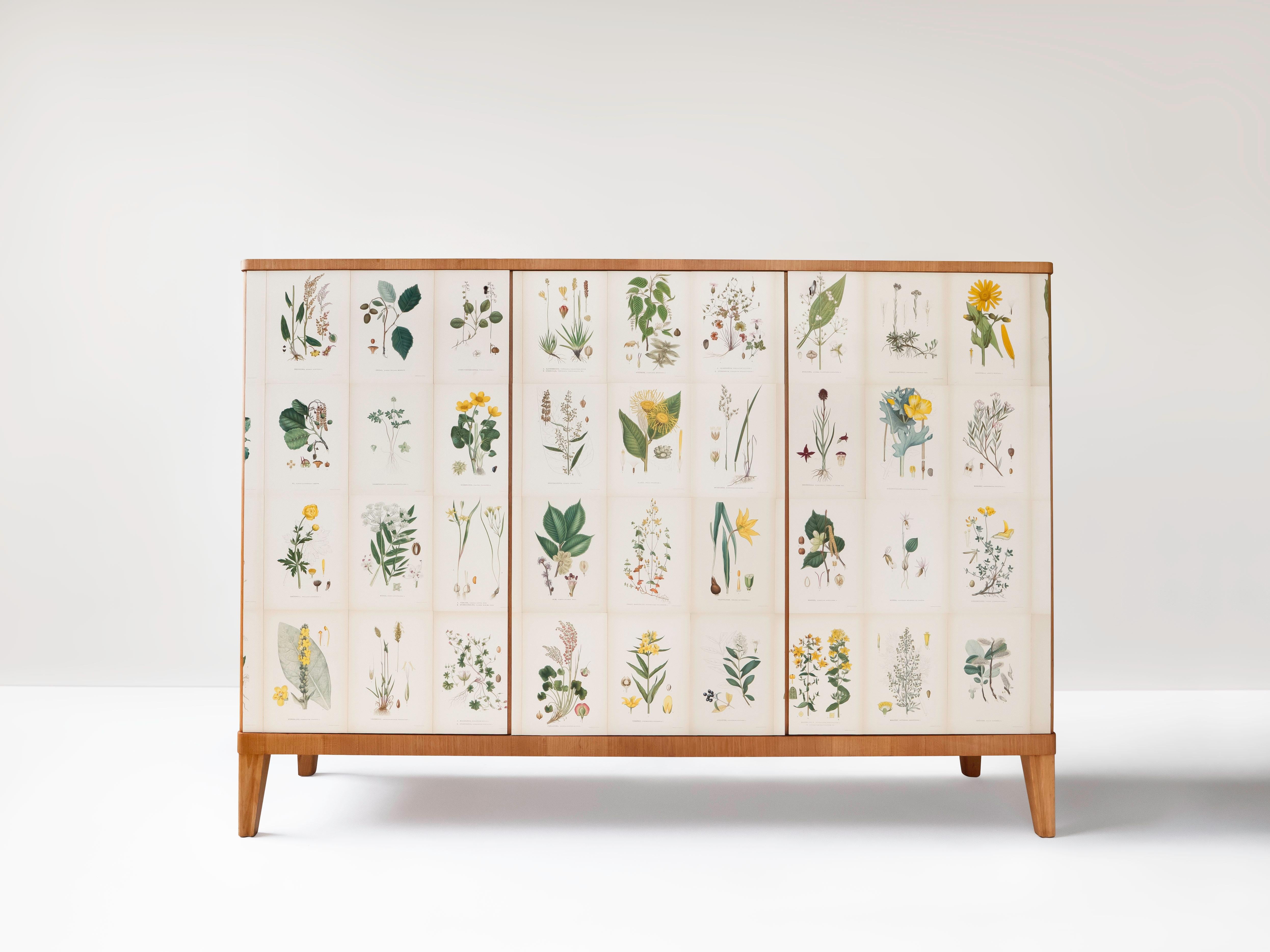 Credenza o armadio svedese a 3 ante in olmo, anni '40 circa. Il mobile rettangolare è rivestito con le prime illustrazioni di Flora di Norden di C.C. Lindman. L'armadio ha tre ante con chiusura a chiave che nascondono 2 ripiani regolabili e 3