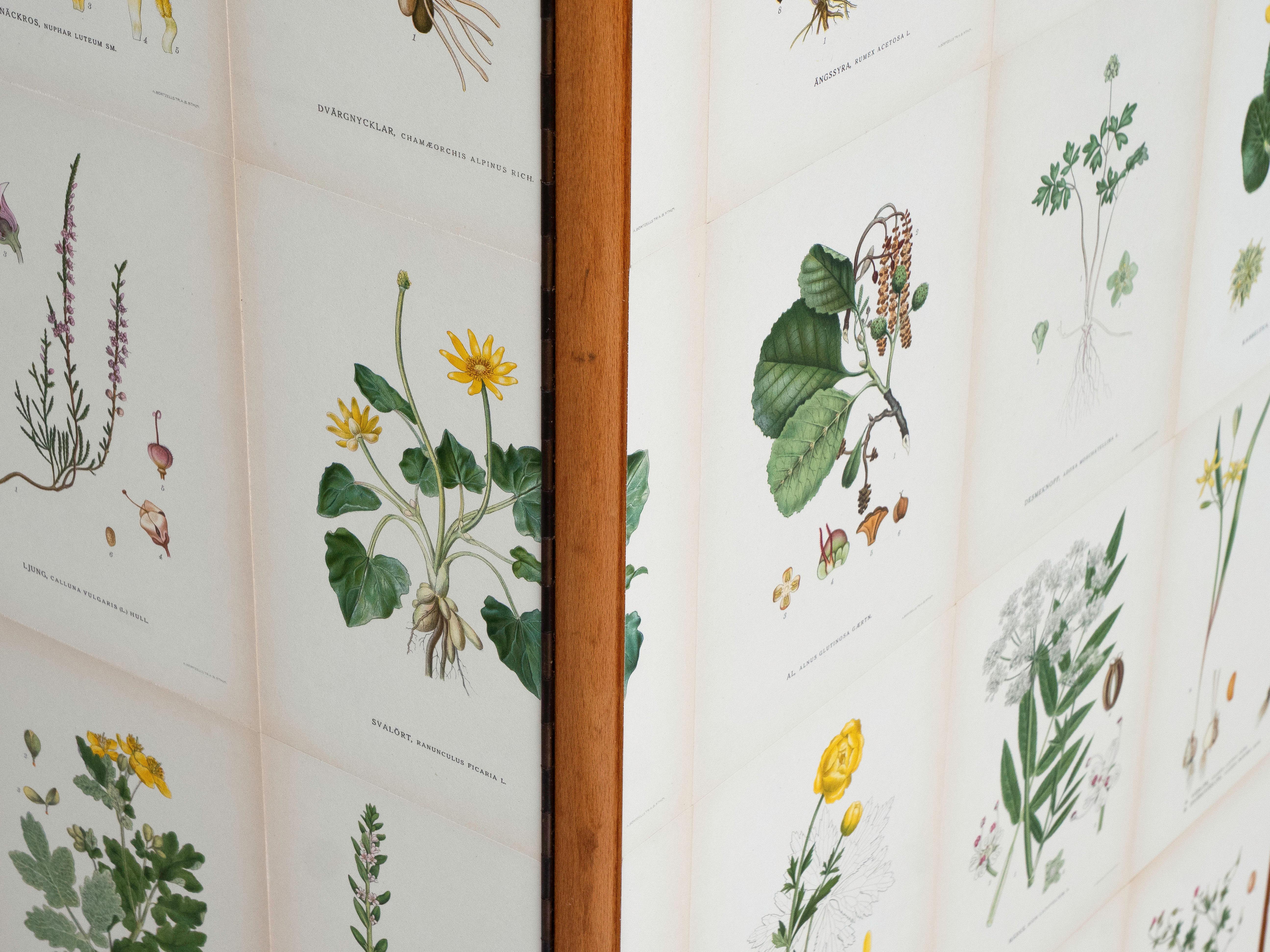 Armadio svedese a 3 ante con illustrazioni di Flora Nordens, stile Josef Frank in vendita 1