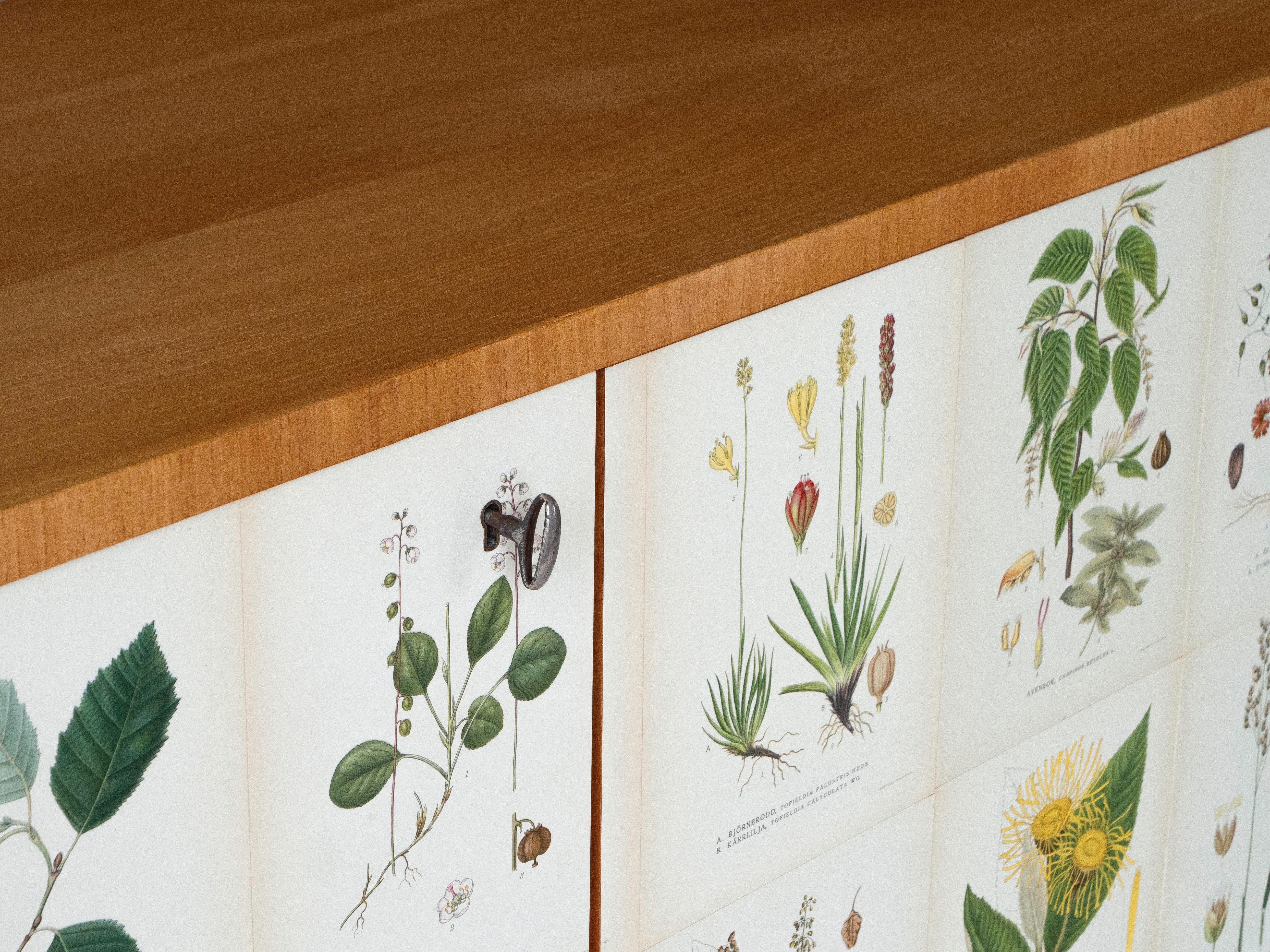 Armadio svedese a 3 ante con illustrazioni di Flora Nordens, stile Josef Frank in vendita 3