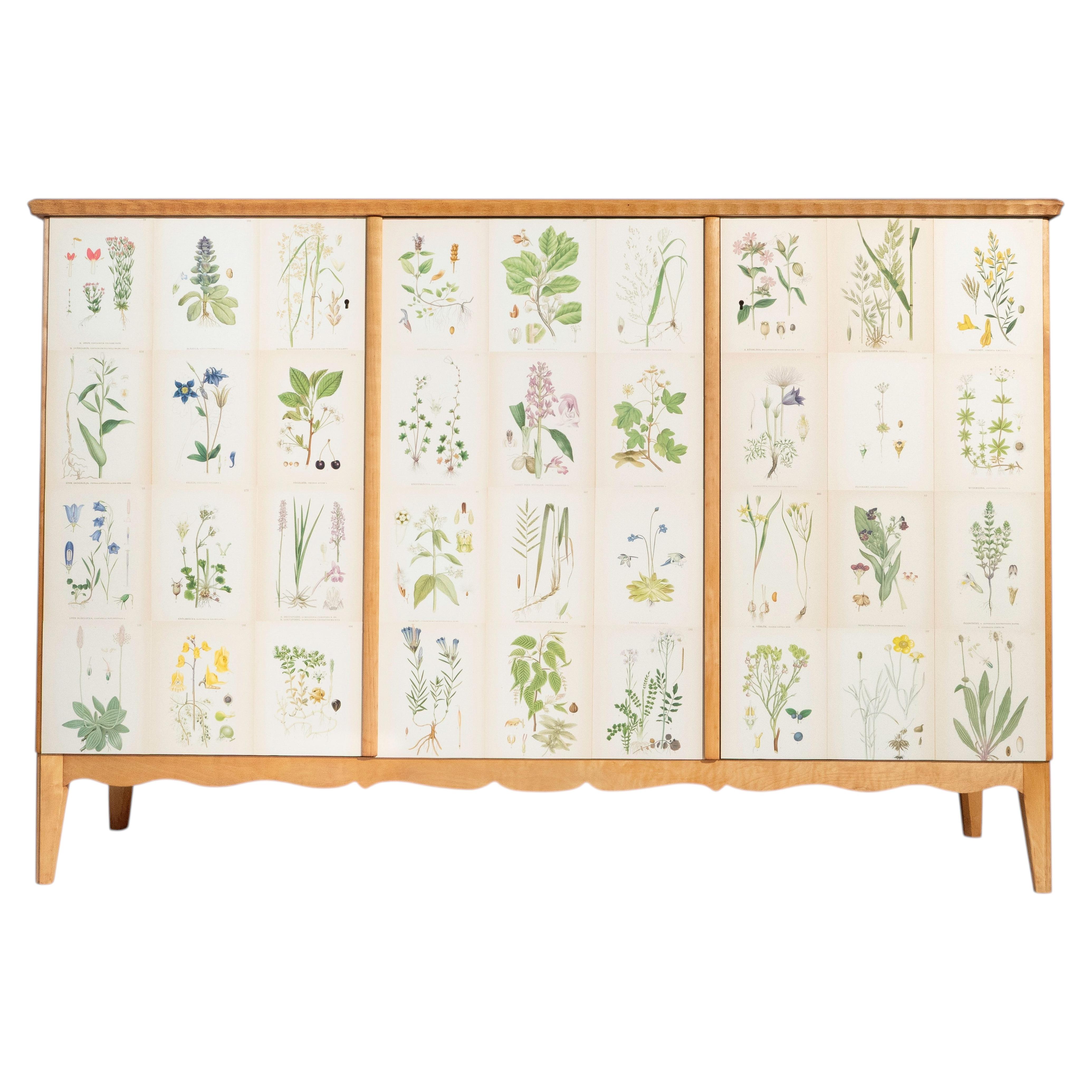 Swedish 3-Door Elm Cabinet with Nordens Flora Illustrations, 1950's For Sale