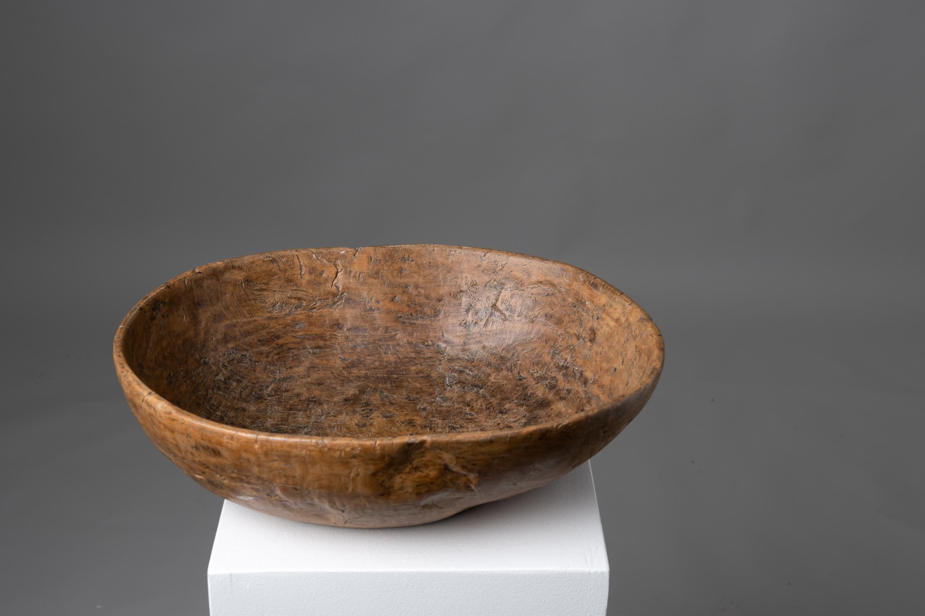 Swedish Antique Birch Root Bowl In Good Condition In Kramfors, SE