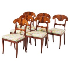 Swedish Biedermeier Dining Chairs Set of 6 Flame Golden Birch