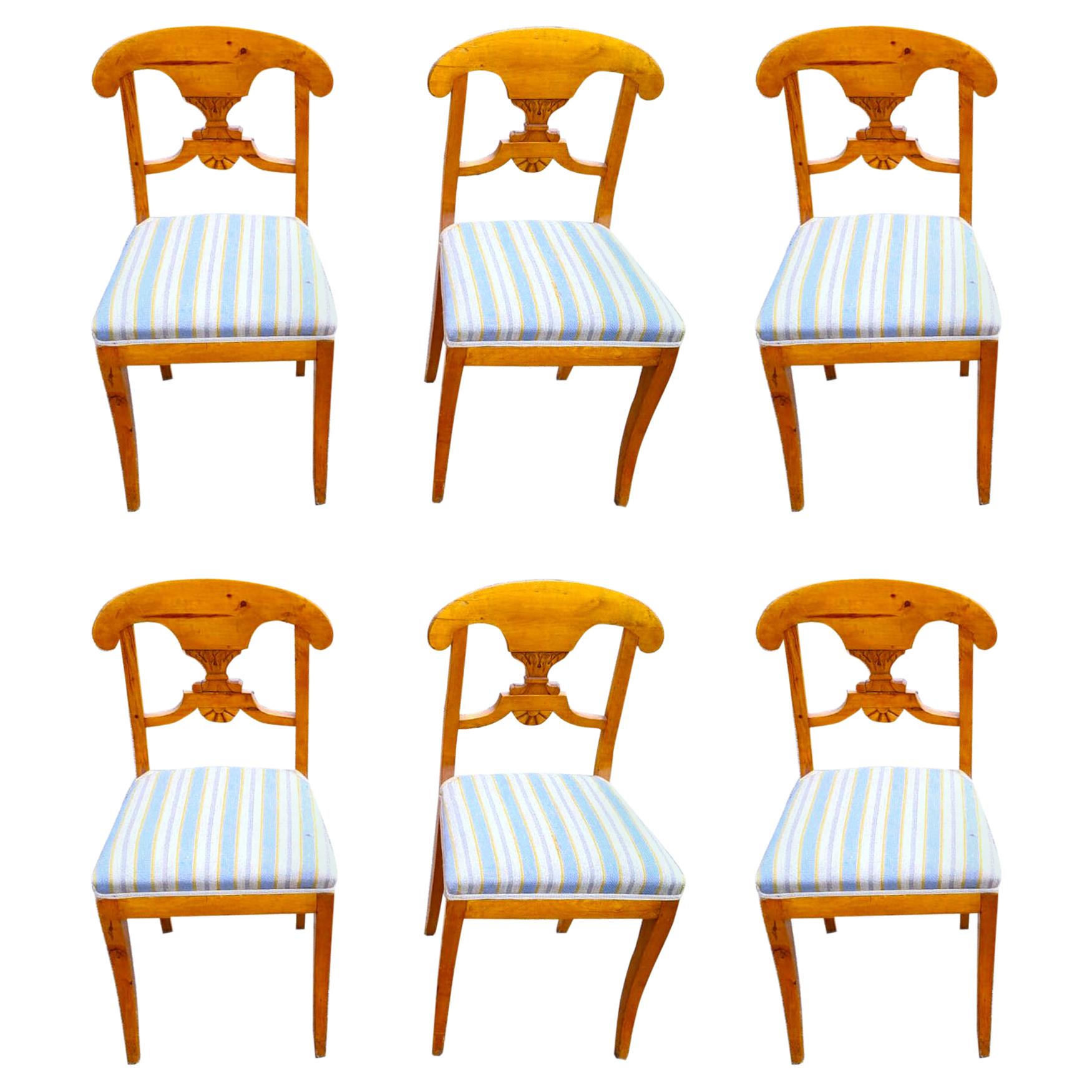 Swedish Biedermeier Dining Chairs Set of 6 Flame Golden Birch Honey Colour 1800s