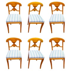 Swedish Biedermeier Dining Chairs Set of 6 Flame Golden Birch Honey Colour 1800s
