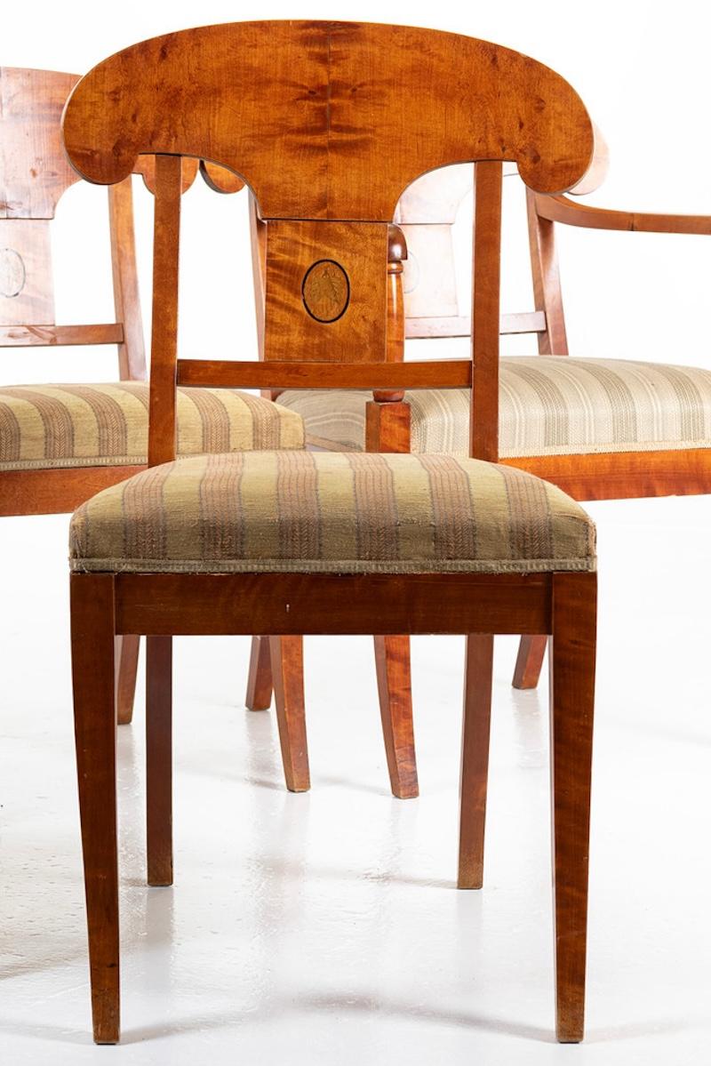 Délicieux et rare ensemble de 6 chaises de salle à manger Biedermeier suédoises anciennes en bouleau doré à la flamme, datant de 1870-1920, avec le dossier incurvé caractéristique, le motif central sculpté et les pieds avant gracieusement incurvés.