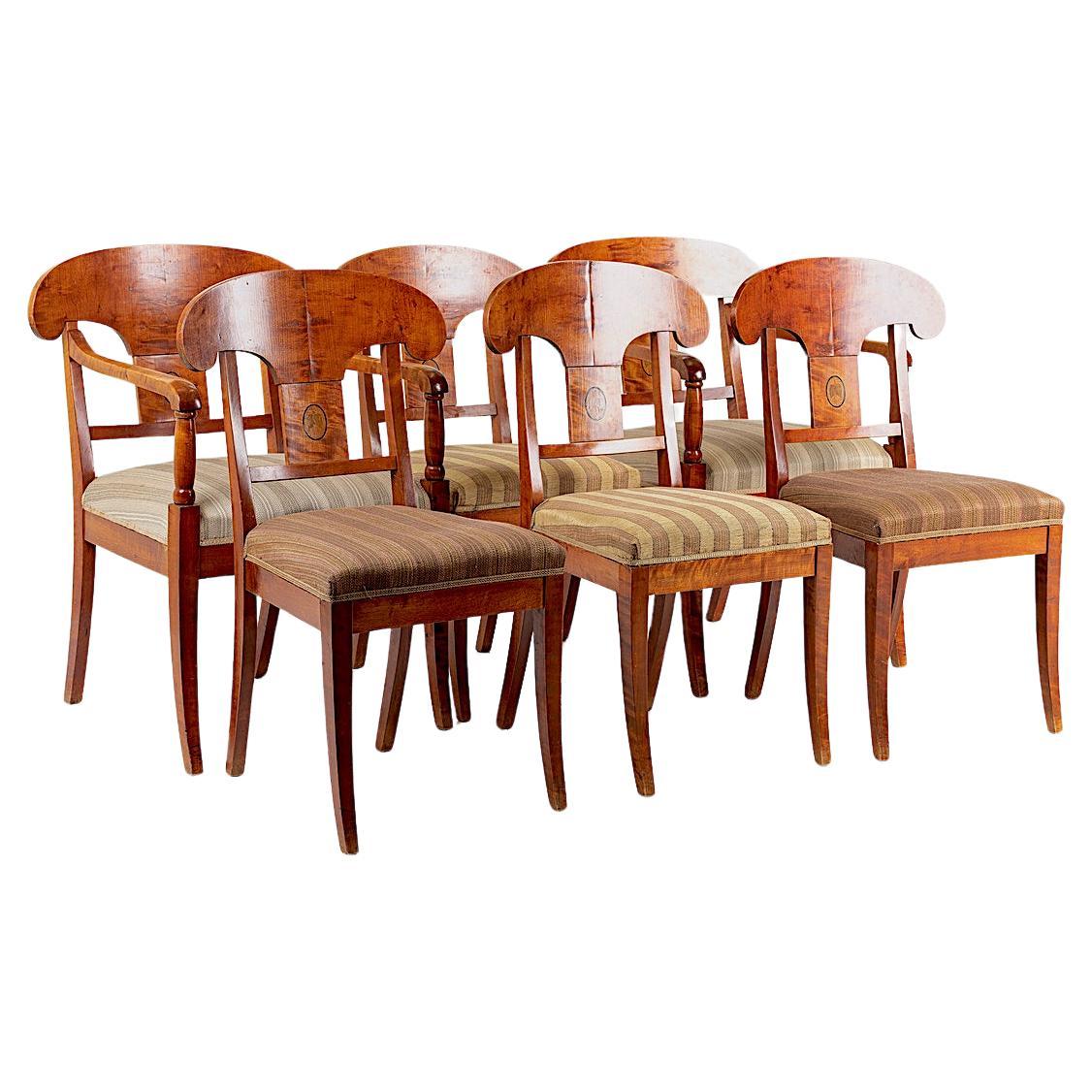 Swedish Biedermeier Dining Chairs Set of 6 Flame Golden Birch Honey Colour Inlay For Sale