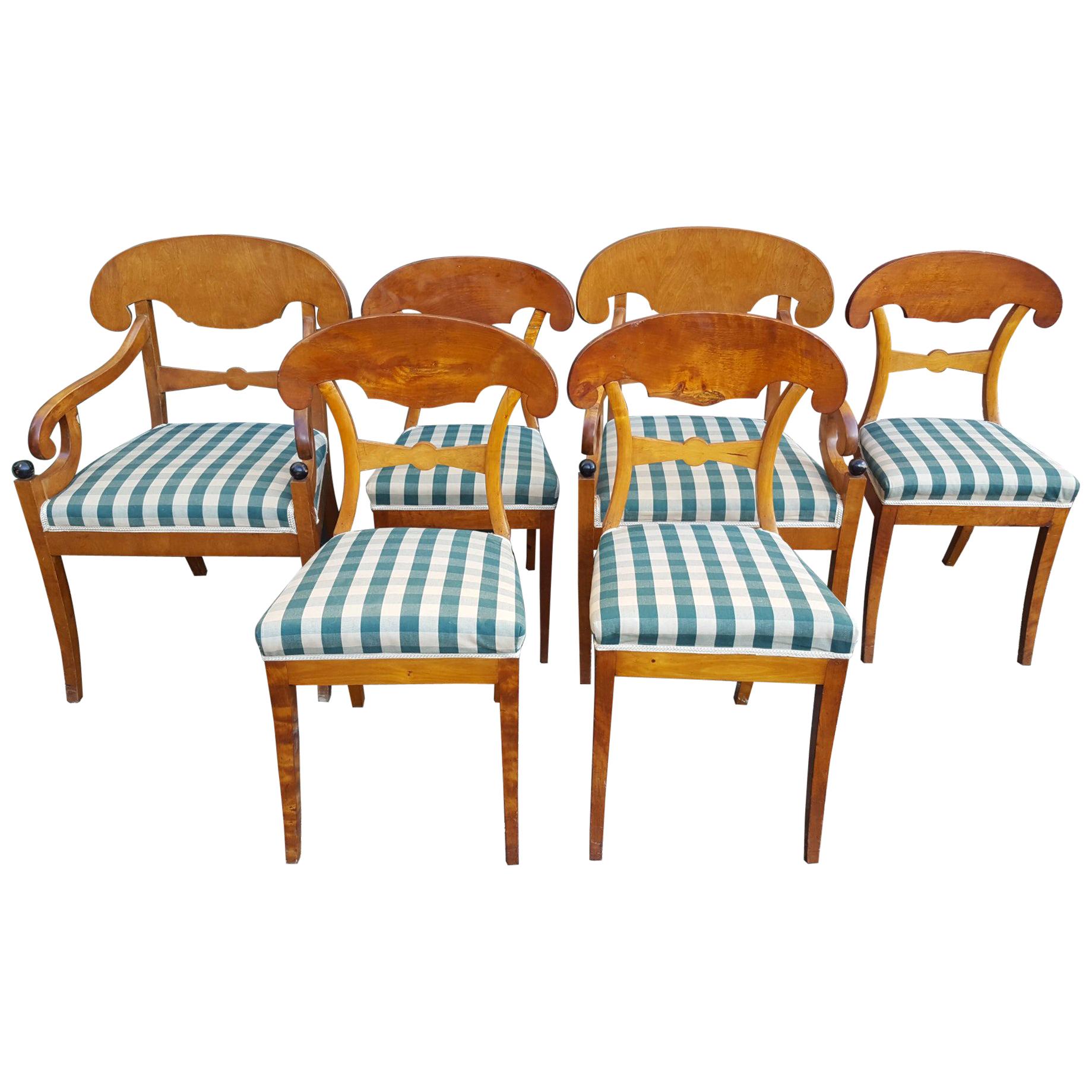 Swedish Biedermeier Dining Chairs Set of 6 Golden Birch Honey Color 19th Century