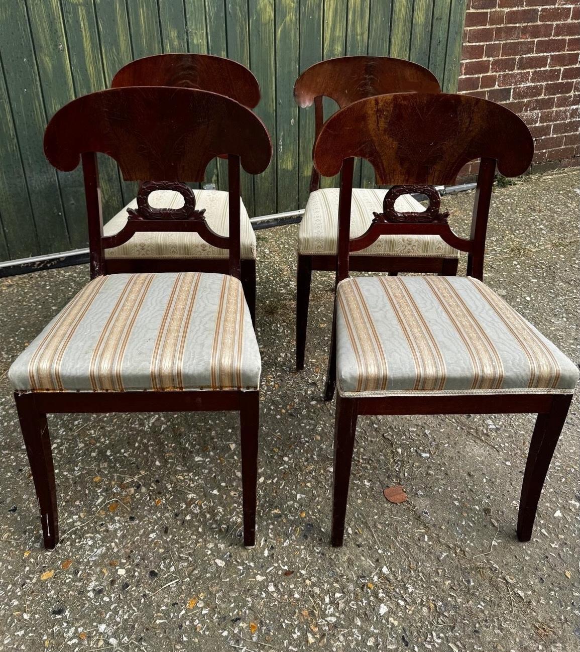 Carved Swedish Biedermeier Dining Chairs Set of 6 veneer Golden Birch 1800s For Sale