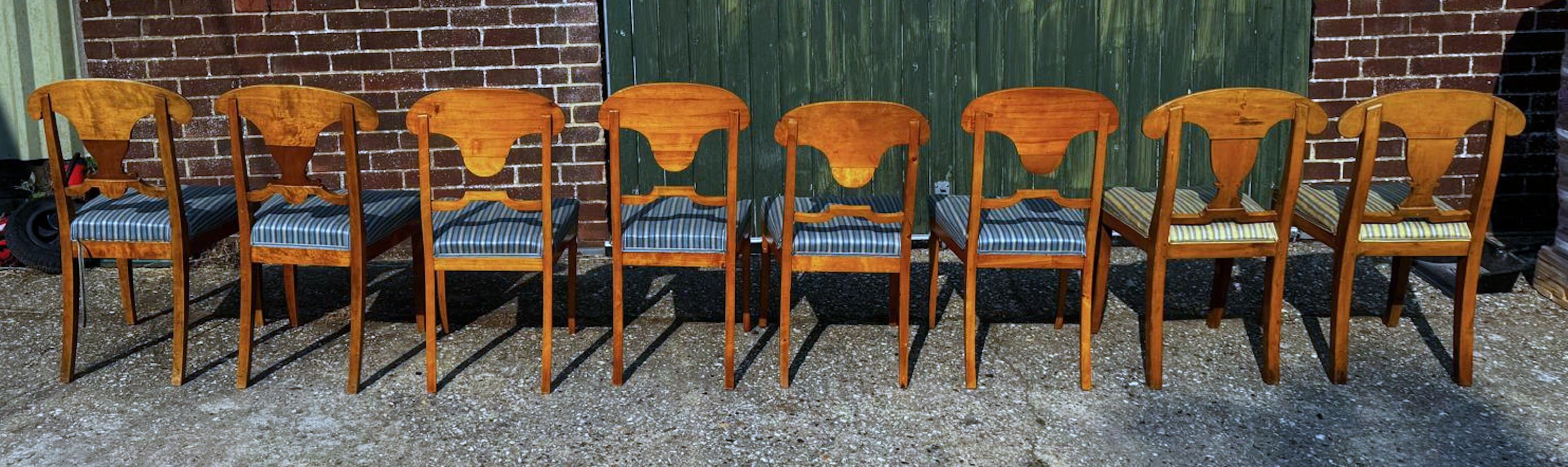 Juego de 8 Sillas de Comedor Biedermeier Suecas Abedul Dorado Flameado Sueco en venta