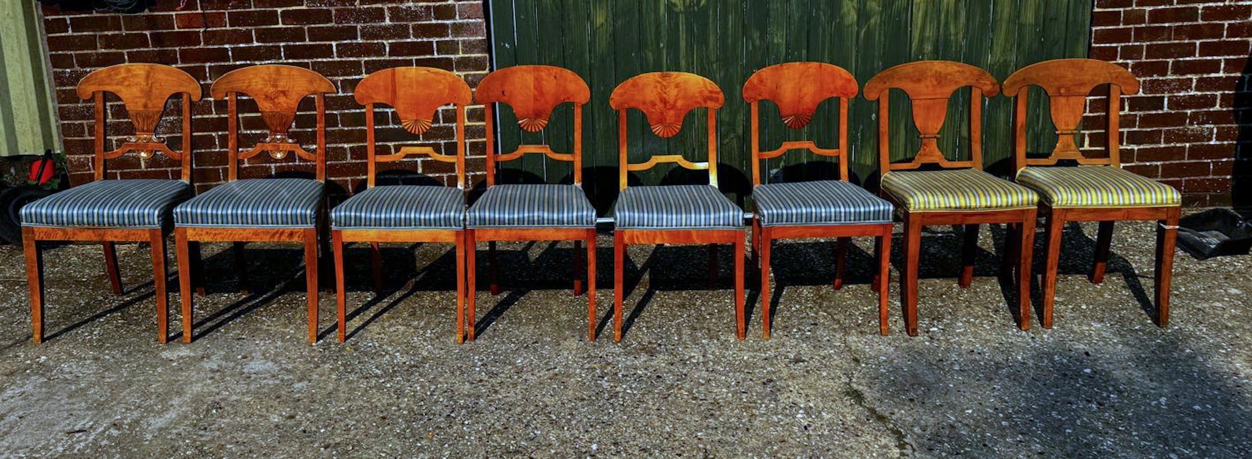 Juego de 8 Sillas de Comedor Biedermeier Suecas Abedul Dorado Flameado Tallado en venta