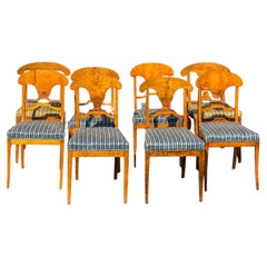 Swedish Biedermeier Dining Chairs Set of 8 Flame Golden Birch