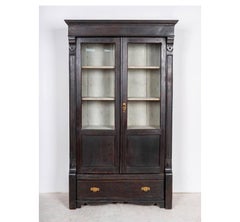 Swedish Biedermeier Glass Front Linen Press Book Case Cabinet Marquetry Black