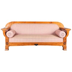 Swedish Biedermeier Sofa Empire Couch Honey Color, 4-5 Seat, 19th Century