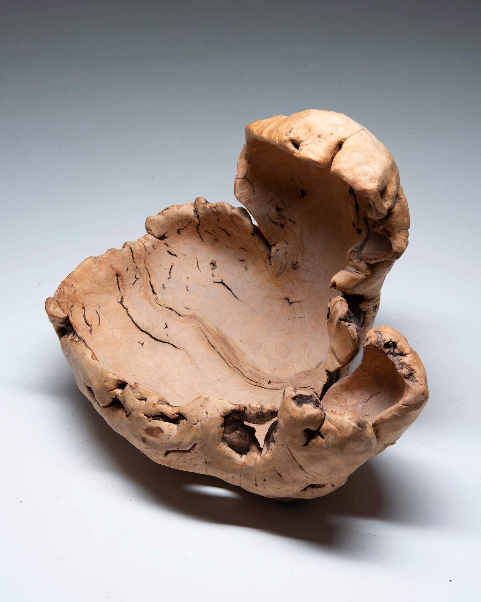 Swedish Burl Wood Sculpture For Sale 5