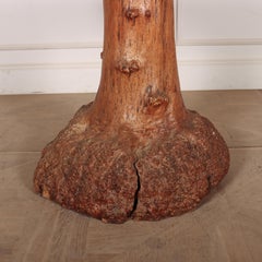 Swedish Burr Root Table